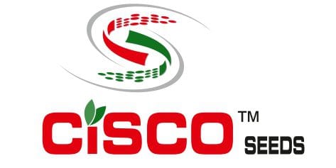 Untitled-1_page-0001