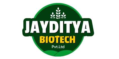 Untitled-6_page-0001_11zon